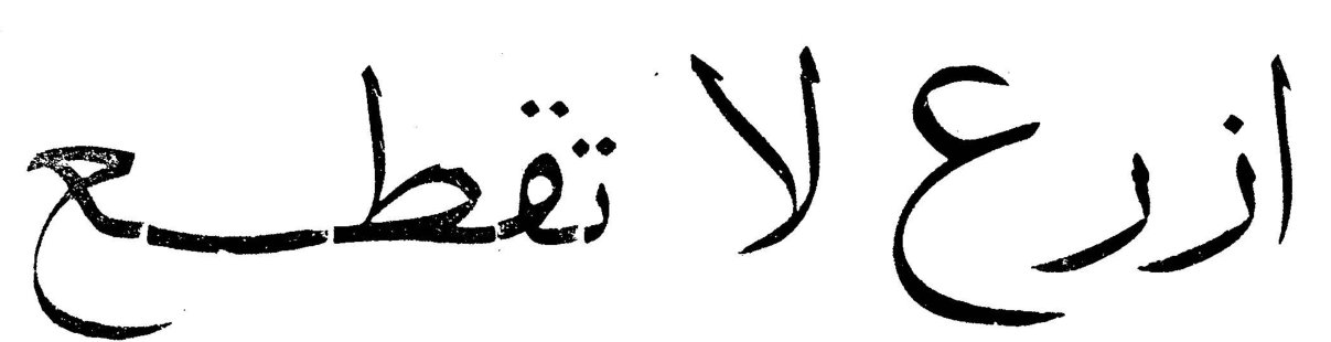 ازرع لا تقطع