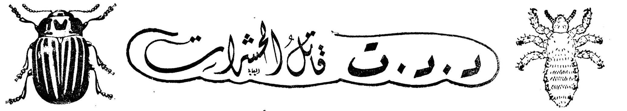 د.د.ت قاتل الحشرات