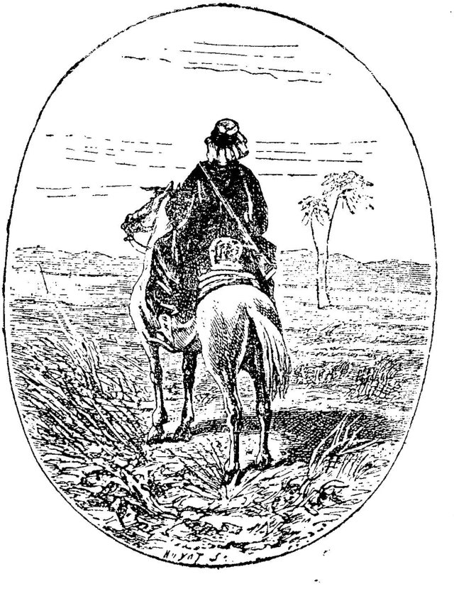 image/illustration region