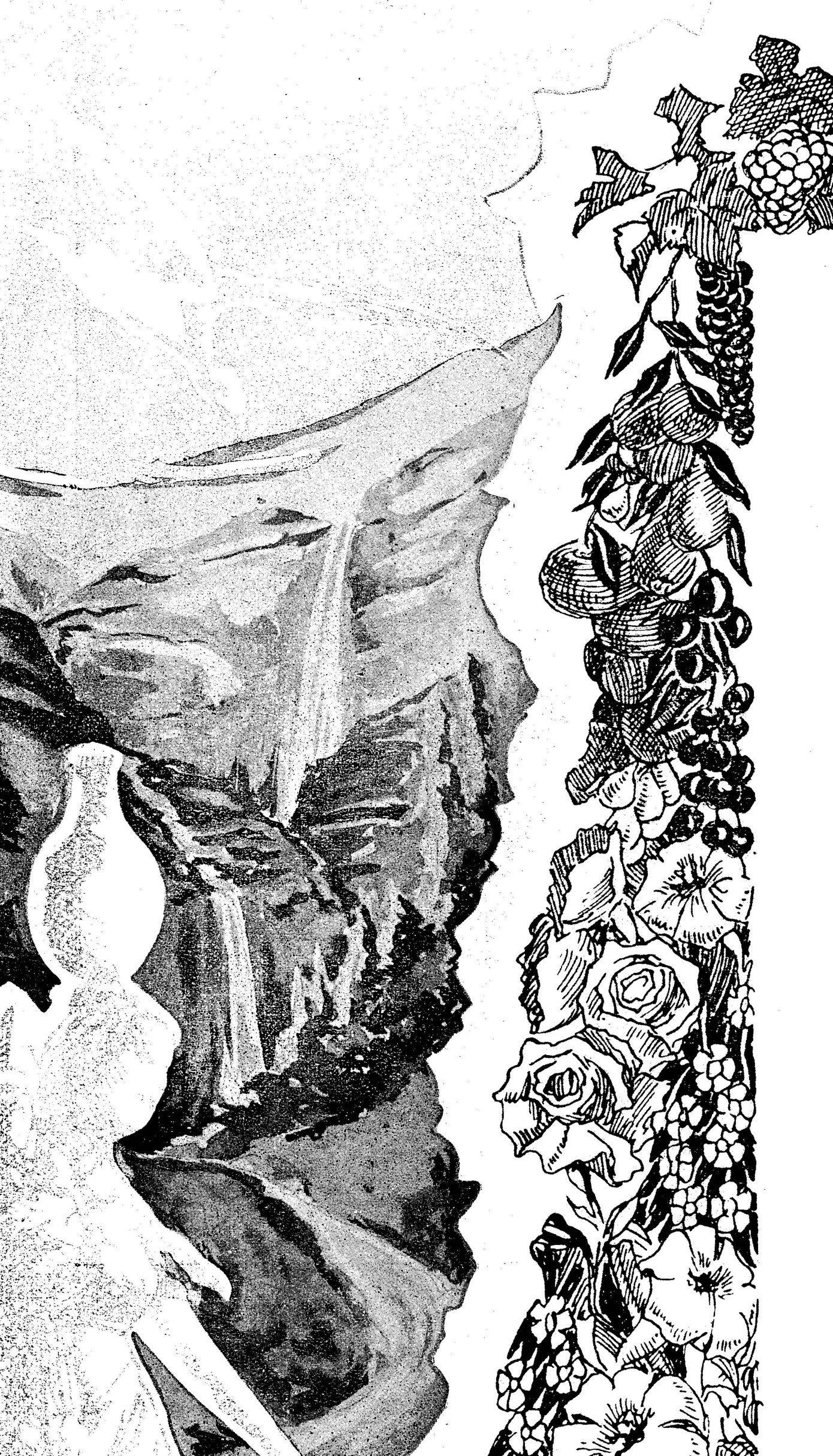 image/illustration region