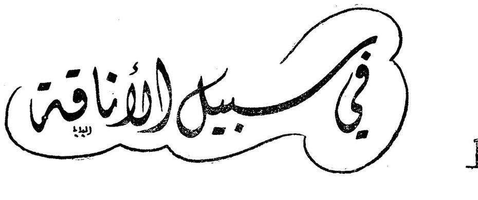 في سبيل الأناقة