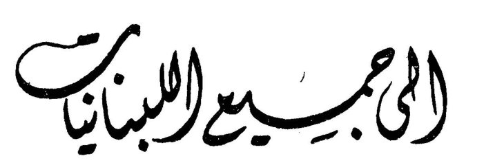 إلى جميع اللبنانيات