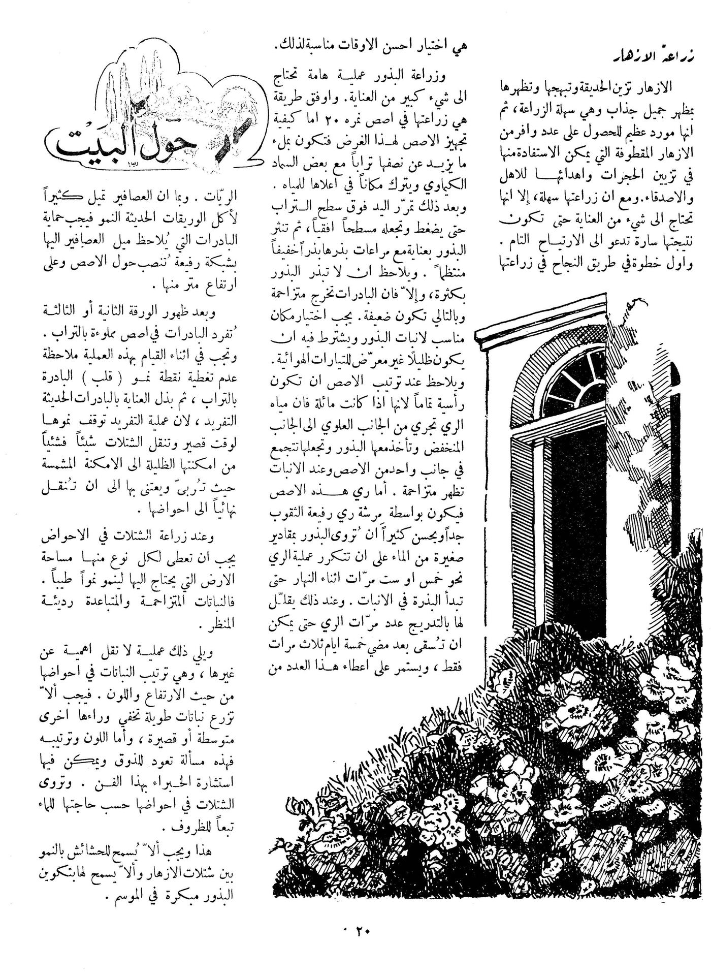 Scan of page 20