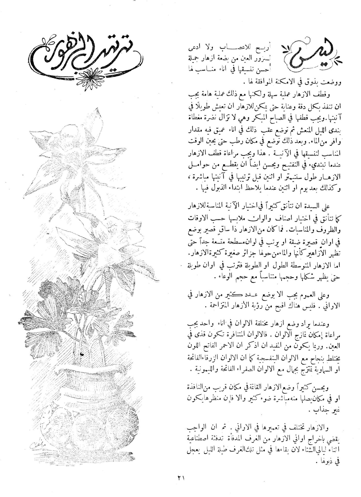 Scan of page 21