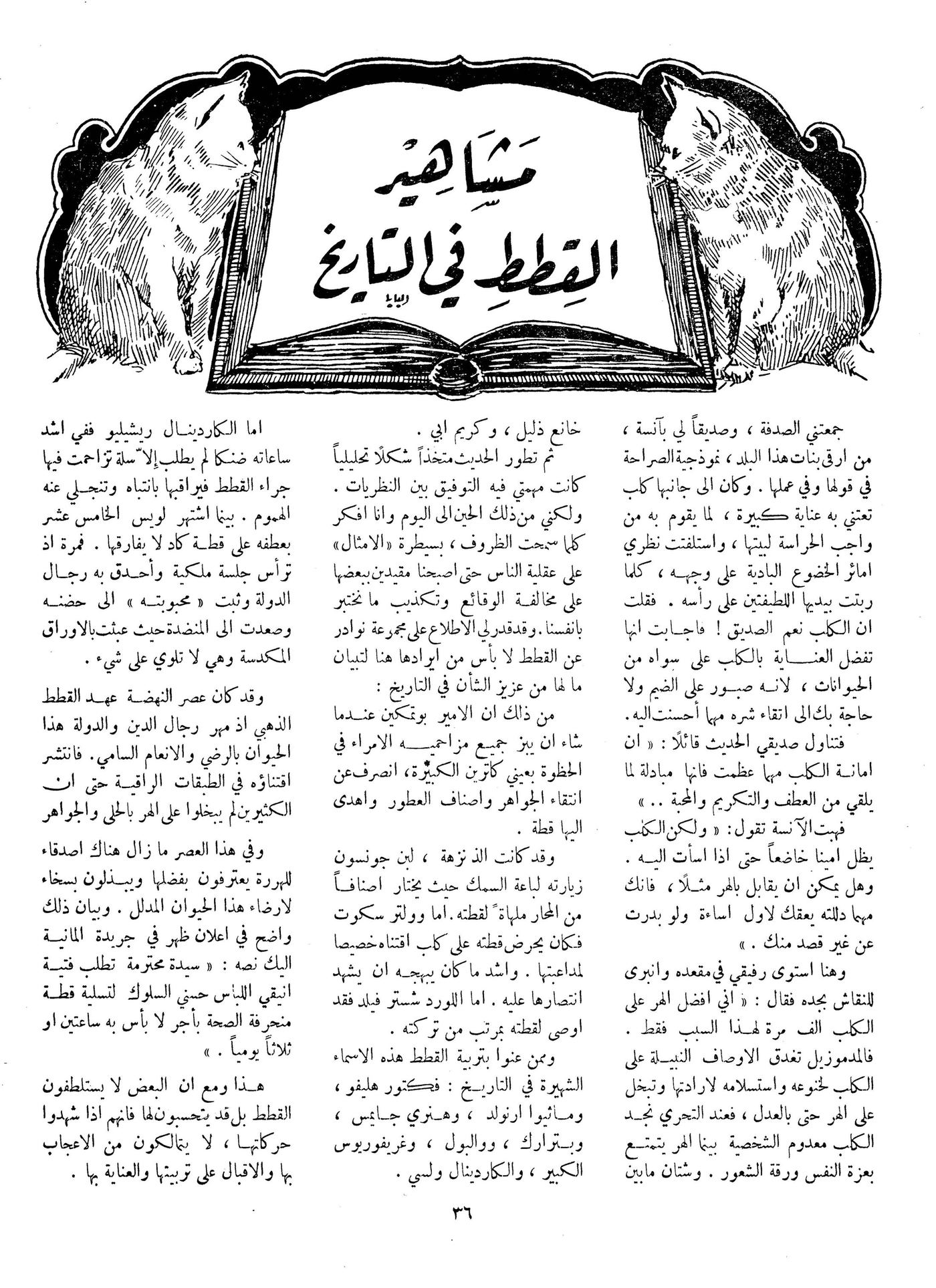 Scan of page 36