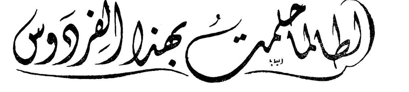 الطماطم بهذا الفردوس