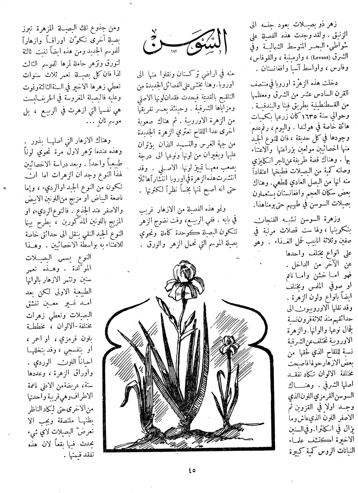 Scan of page 45