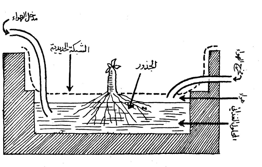 مدخل الهواء / الشبكة الحديدية / الجذور