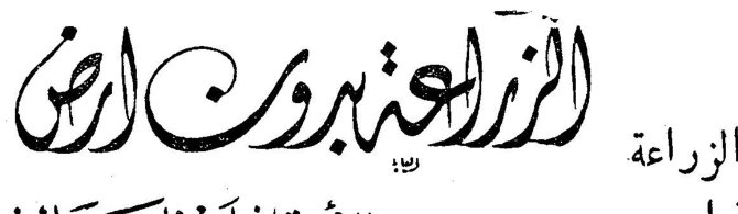 الزراعة بدون أرض