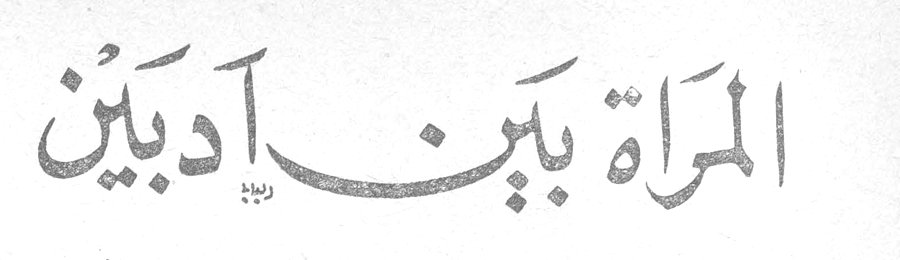 المرأة بين أدبين