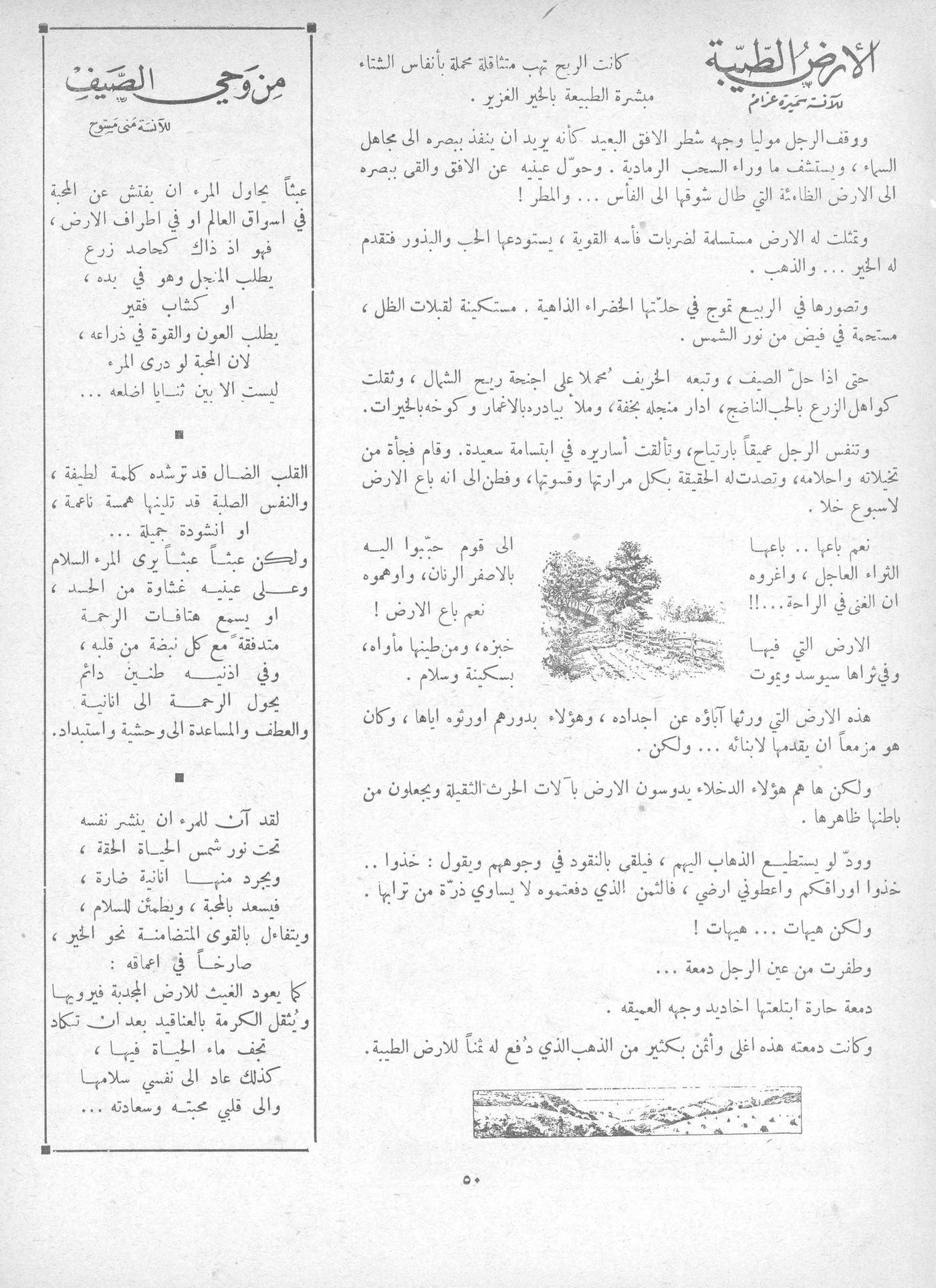 Scan of page 50