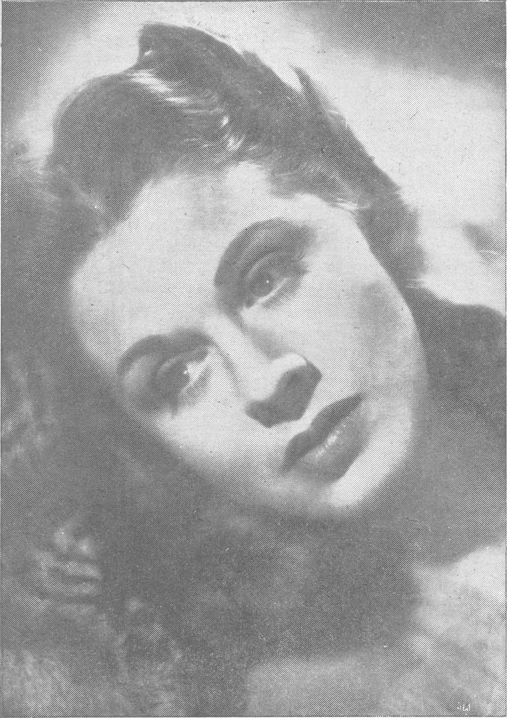 صورة شخصية لامرأة