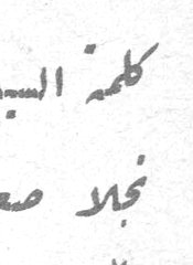كلمة السيدة نجلا صعب نجلا صعب كلمة السيدة نجلا صعب
