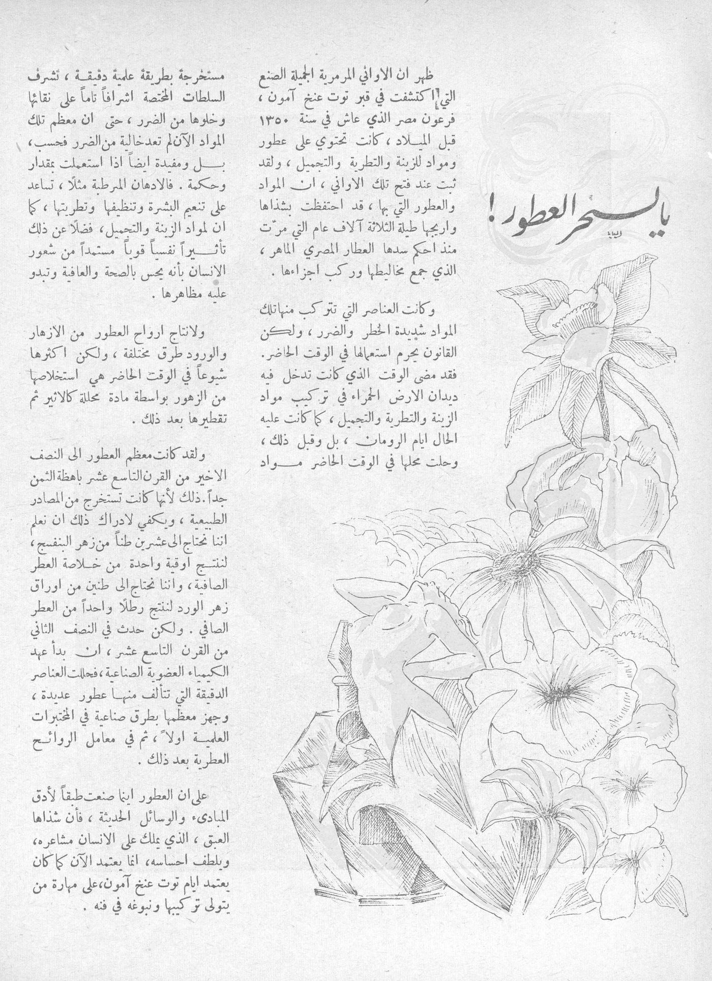 Scan of page 28