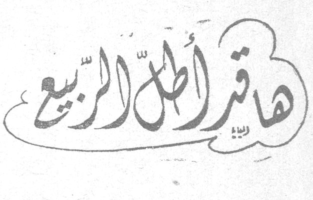 ها قد أطل الربيع زينب
