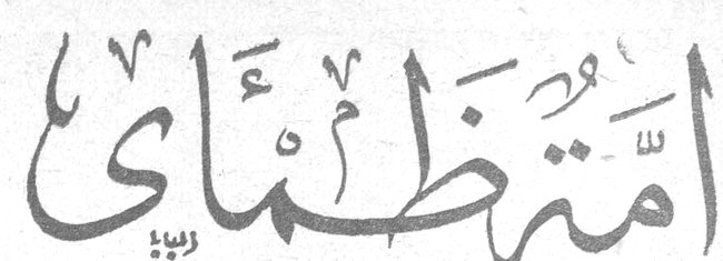 أمة ظمأى السيدة اسما طوبي