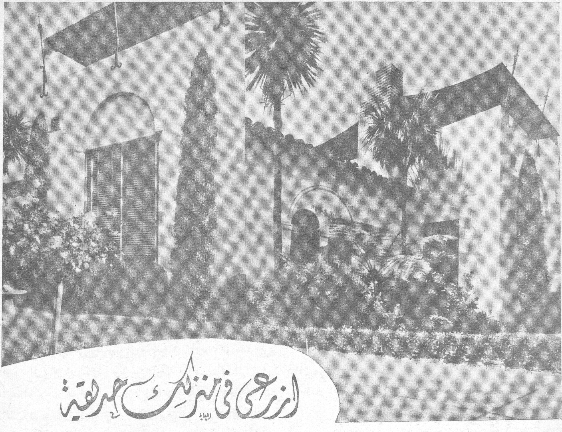 ازرعي في منزلك حديقة