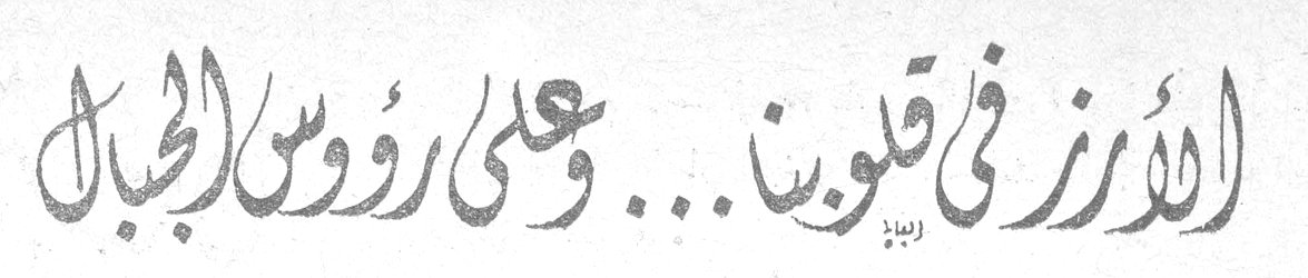 الأرز في قلوبنا... وعلى رؤوس الجبال