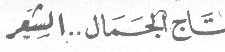 تاج الجمال.. الشعر
