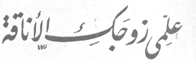 علمي زوجك الأناقة