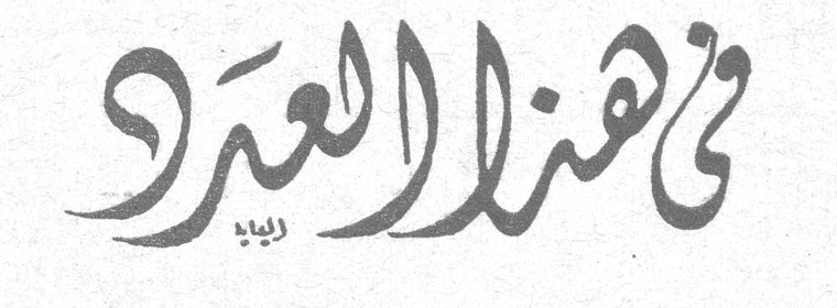 في هذا العدد