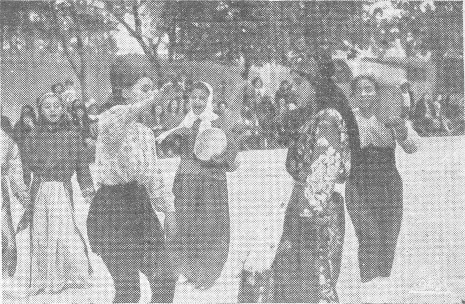 صورة الدبكة القروية الوطنية