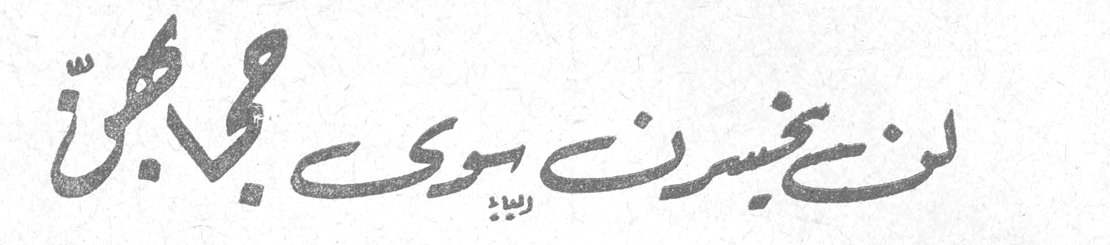 لن يخسرن سوى حجابهن مونا غاردنر