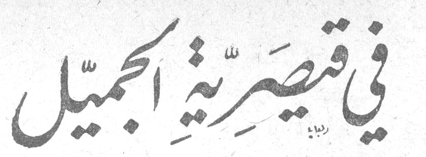 في قيصريّة الجميّل