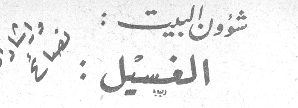 شؤون البيت: الغسيل
