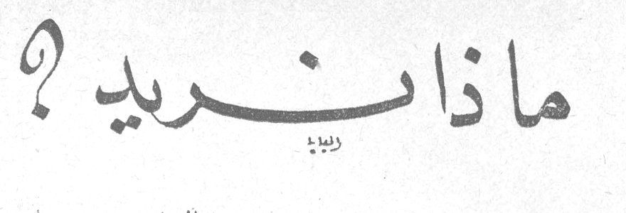 ماذا نريد؟