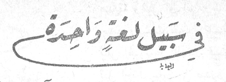 في سبيل لغتي وأمتي
