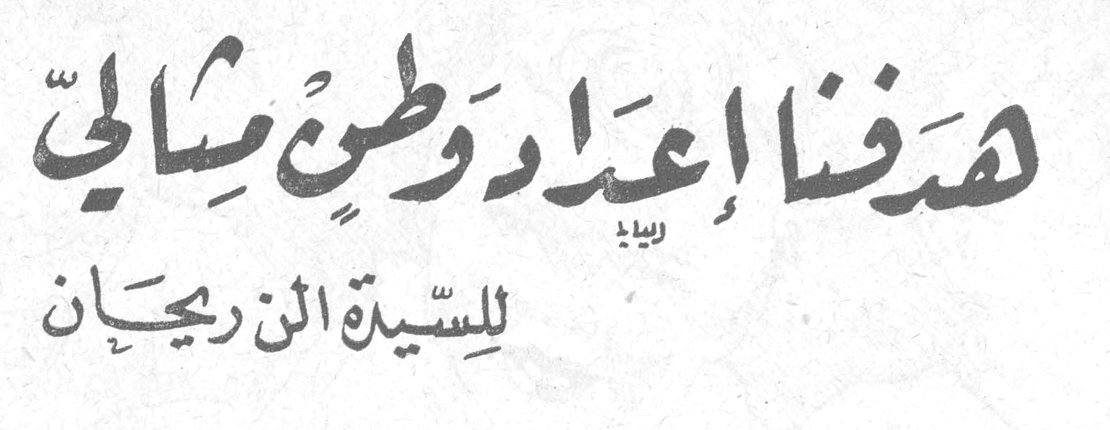 هدفنا إعداد وطن مثالي للسيدة ابن ريحان