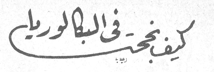 كيف نجحت في البكالوريا