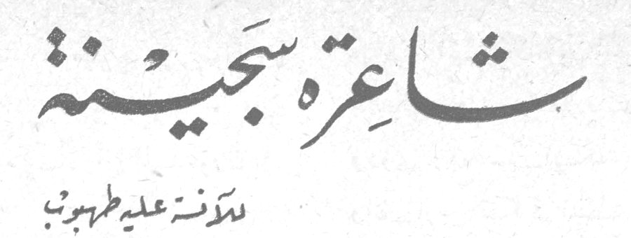 شاعرة سجينة — لكرة علي طهبوب