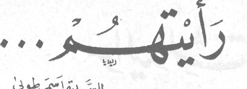 رأيتهم...