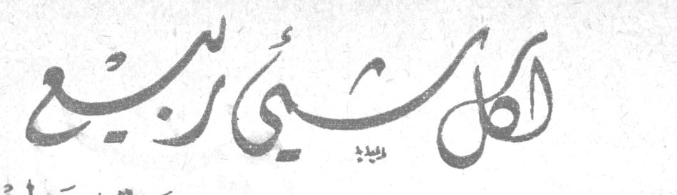 كل شيء ربيع