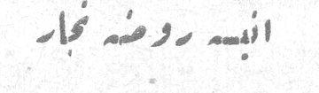 النبيلة روضة نجار النبيلة روضة نجار النبيله روضه نجار