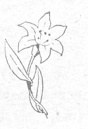 زهرة