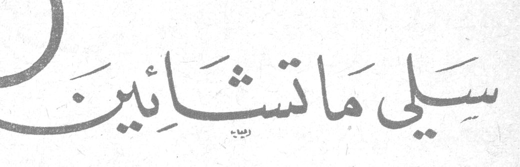 سيلي ماتشايين تجيب