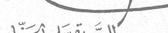 السيدة سلمى الحفار