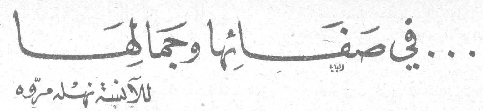 ... في صفائها وجمالها للآنسة نهلة مروّه