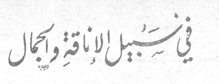 في سبيل الأناقة والجمال