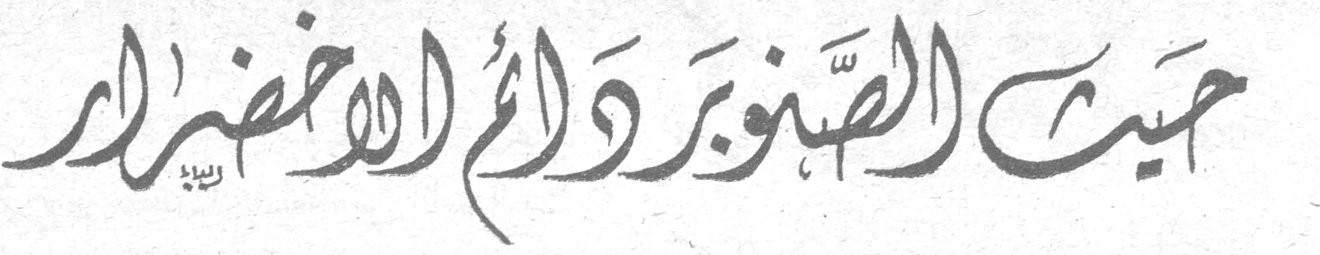 حيث الصّنوبر دائمُ الاخضرار