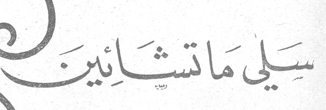 سلّي ماتشائين