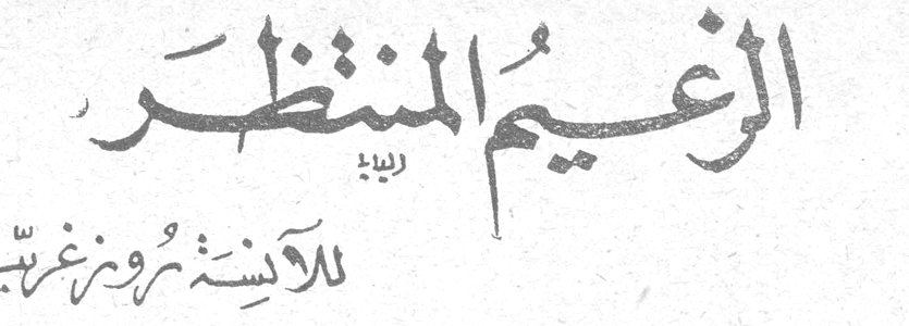 الزعيم المنتظر للآنسة روز غريب