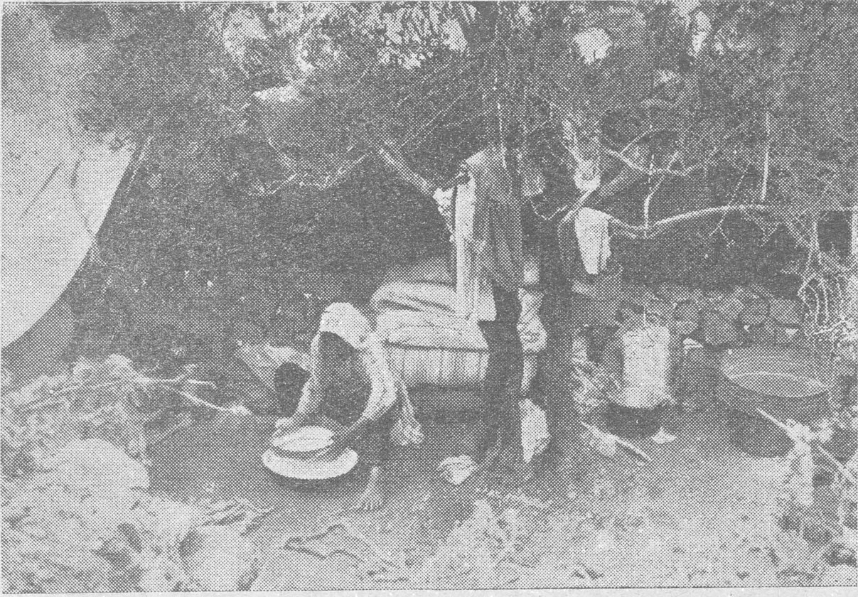 A WOMAN FROM LYDDA SETTING UP HOUSE IN THE FIELDS