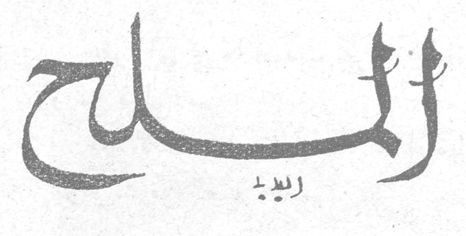 الملح رديد