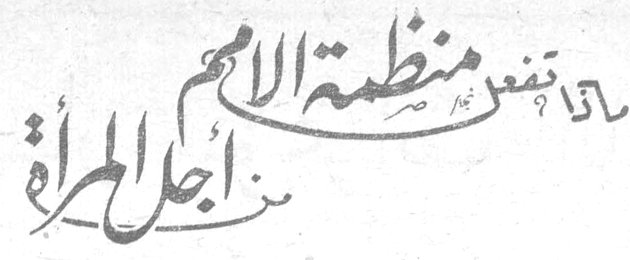 ماذا تفعل منظمة الامم من أجل المرأة
