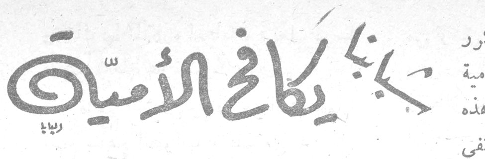 بديكاڤ الأمية