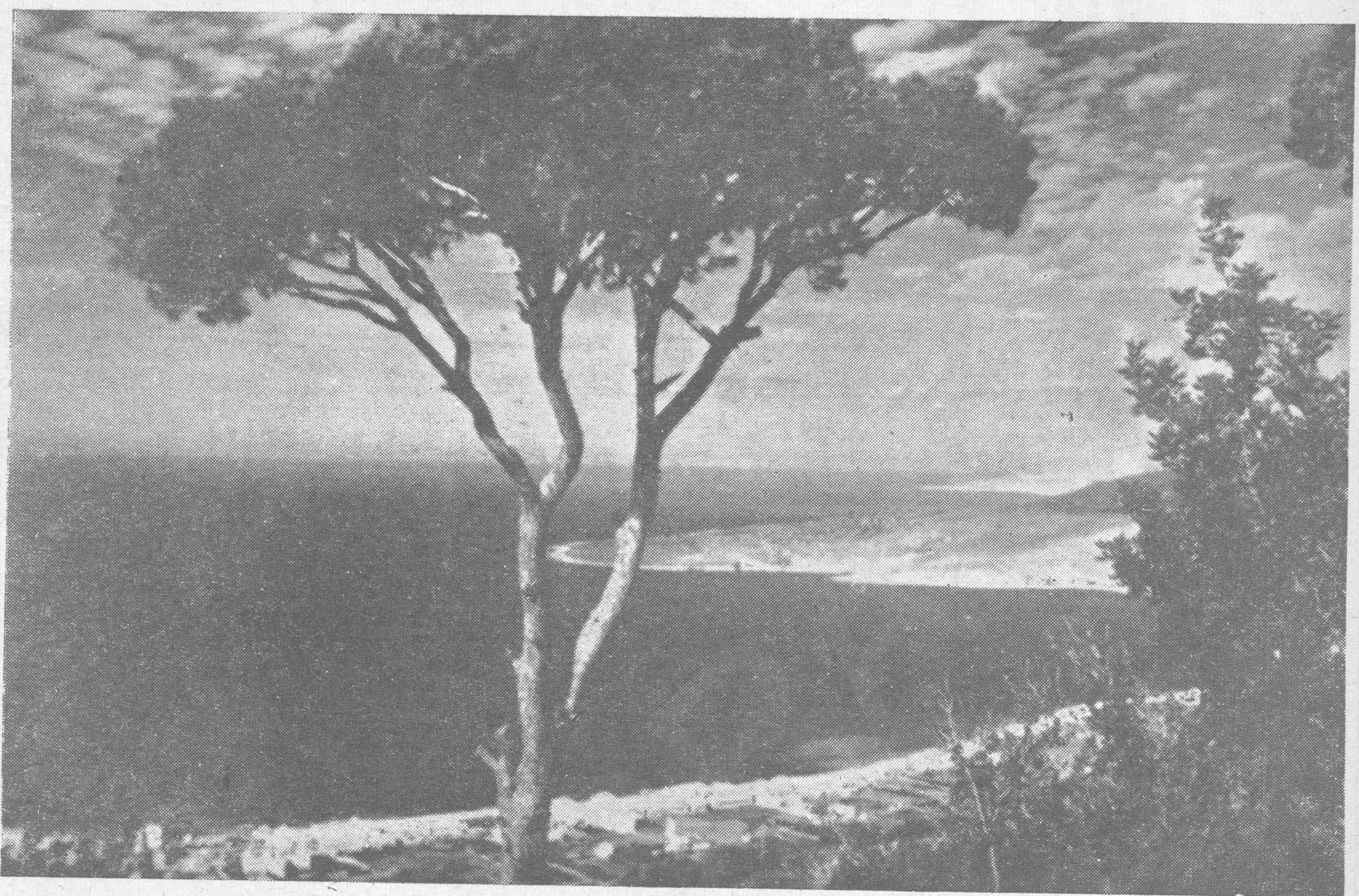 Vue de la baie de Jounieh
